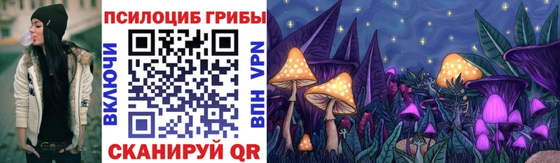 OMG как войти  Пионерский  Псилоцибиновые грибы MAGIC MUSHROOMS 